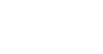 BigID logo