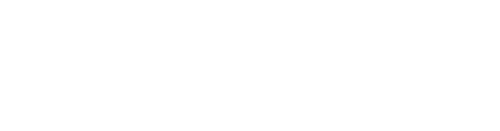 Saidot logo